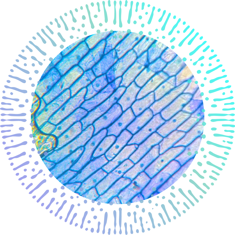 Molecular Synergy